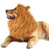 Adjustable Lion Wig with Ears for Dogs - Cute and Fun Mane Costume