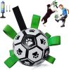 Dog Football Interactive Toy Dog Ball, Water Toy Tug Of War Dog Toy