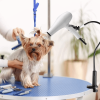 Hair Dryer Holder Hands 360 Degrees Rotatable Hands-Free Hair Dryer Stand Aluminum Alloy