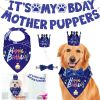 Dog Birthday Bandana Hat Set Birthday Party Birthday Banner Decoration