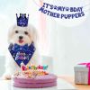 Dog Birthday Bandana Hat Set Birthday Party Birthday Banner Decoration