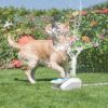 Outdoor Dog Water Fountain Dog Sprinkler Dog Paw Drinking Step on