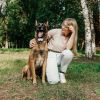 Electric Dog Training Collar IP67 Waterproof Rechargeable Dog Bark Collar with 3 Training Modes