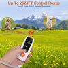 Electric Remote Training Collar IP67 Waterproof Rechargeable Dog Training System with Light Beep Vibration Shock