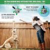 Dog Football Interactive Toy Dog Ball, Water Toy Tug Of War Dog Toy