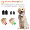 Electric Remote Training Collar IP67 Waterproof Rechargeable Dog Training System with Light Beep Vibration Shock