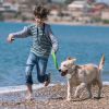 IP67 Waterproof Electric Dog Training Collar Rechargeable Dog Receiver with Light Beep Vibration Shock Fit for All Dogs
