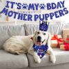 Dog Birthday Bandana Hat Set Birthday Party Birthday Banner Decoration