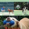 Dog Football Interactive Toy Dog Ball, Water Toy Tug Of War Dog Toy