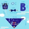 Dog Birthday Bandana Hat Set Birthday Party Birthday Banner Decoration