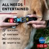 Nylon Dog Collar Adjustable with Durable Plastic Buckle Nasa