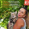 Flea and Tick Prevention for Dogs Topical Flea Mosquito Repellent