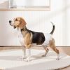 VEVOR Disposable Dog Diapers Super Absorbent Female Dog Diapers Small