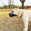 Pet Muzzle Mask Soft Mesh Muzzle Adjustable Dog Mouth Cover