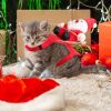 Pet Christmas Costumes Red Winter Coat for Dog Riding Santa Claus with Bell
