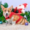 Pet Christmas Costumes Red Winter Coat for Dog Riding Santa Claus with Bell