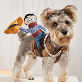 Cowboy Rider Pet Costume, Funny Dog Costume (Color: Mixed Color, size: XL)