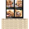 Dog Muzzle Leather, Comfort Secure Anti-Barking Muzzles For Small Medium Large Dogs, Breathable And Adjustable