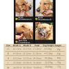 Dog Muzzle Leather, Comfort Secure Anti-Barking Muzzles For Small Medium Large Dogs, Breathable And Adjustable