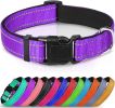 Reflective Dog Collar; Soft Neoprene Padded Breathable Nylon Adjustable