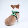 Dog harness set; with leas frog leash pet mesh breathable small dog chest back retractable dog leash pet harness