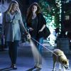 16FT Retractable Dog Leash Extendable with Flashlight RGB Light 2 Rolls of Waste Bags Dispenser
