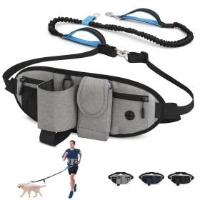 Hands Free Dog Leash with Waist Bag for Walking Small Medium Large Dogs;  Reflective Bungee Leash with Car Seatbelt Buckle and Dual Padded Handles (Leash: 1 dog, Color: Grey)