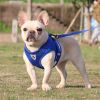 Harnesses and dog leash set; Pet Chest Strap Vest Dog Towing Rope Reflective Breathable Dog Rope Pet Supplies