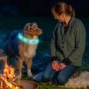Rechargeable LED Dog Collar Multi-Color Lighting Dog Safety Collar Dog Night Walking