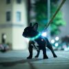 Rechargeable LED Dog Collar Multi-Color Lighting Dog Safety Collar Dog Night Walking