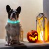 Rechargeable LED Dog Collar Multi-Color Lighting Dog Safety Collar Dog Night Walking