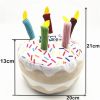 Dog plush fun birthday dog toys