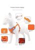 Harnesses set; Pet Chest Strap Vest Dog Strap Small Dog Rope