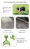 Dog toys plush sound toys