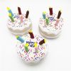 Dog plush fun birthday dog toys