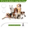 Rechargeable LED Dog Collar Multi-Color Lighting Dog Safety Collar Dog Night Walking