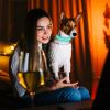 Rechargeable LED Dog Collar Multi-Color Lighting Dog Safety Collar Dog Night Walking