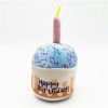 Dog plush fun birthday dog toys