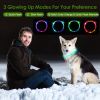 Rechargeable LED Dog Collar Multi-Color Lighting Dog Safety Collar Dog Night Walking