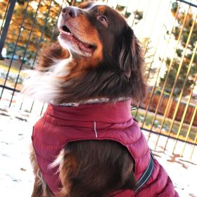 Alpine Extreme Cold Puffer Coat (Color: Burgundy, size: 5X-Large)