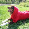 Flex-Fit Hoodie