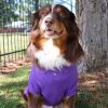Polos Solid Shirt