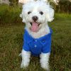 Polos Solid Shirt