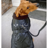 Black Top Flight Coat