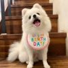 New Happy Birthday Embroidery Dog Bib Mouth towel
